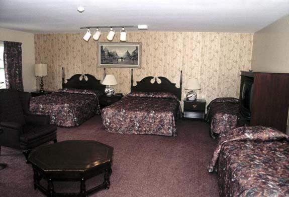 Ivy Rose Motor Inn Windsor Ngoại thất bức ảnh